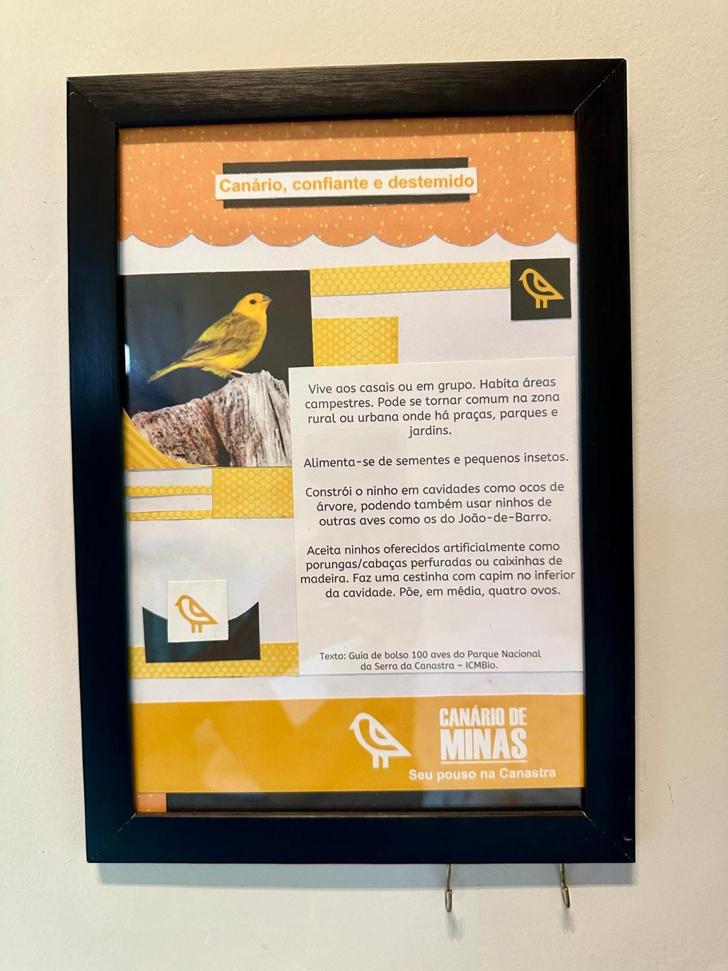 Canastra - Canario De Minas Holiday home